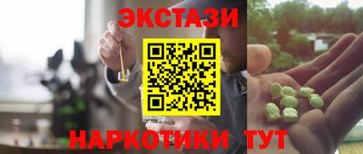 сатива Славгород