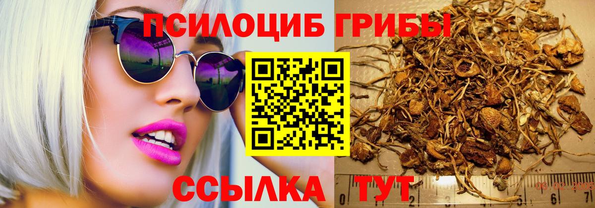 Галлюциногенные грибы GOLDEN TEACHER  Вход с VPN  Ногинск 